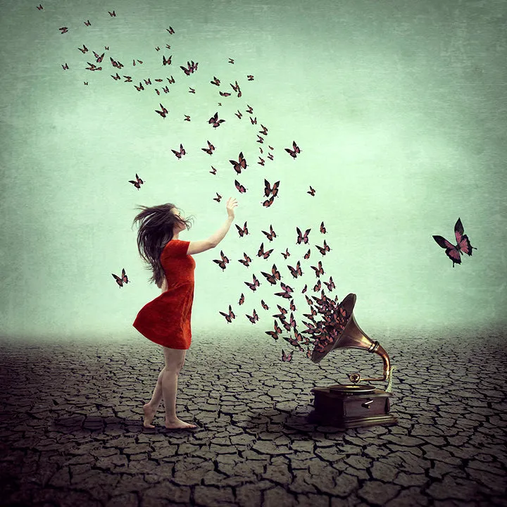 A Melody That Flies by Michelle Mackie