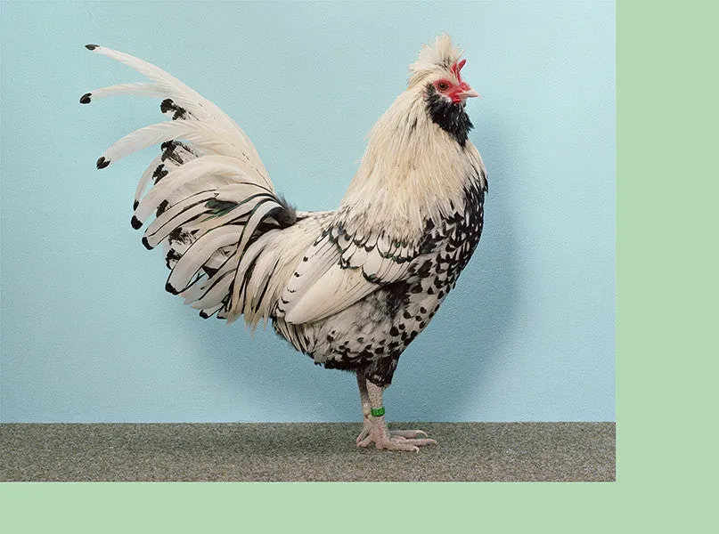 Christopher Williams | Untitled (Whitechapel Gallery, London), 2015